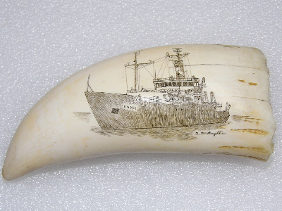 Starter Scrimshaw - 11/14/2026
